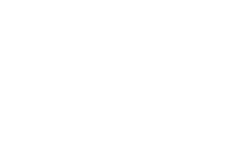 Fulton Group