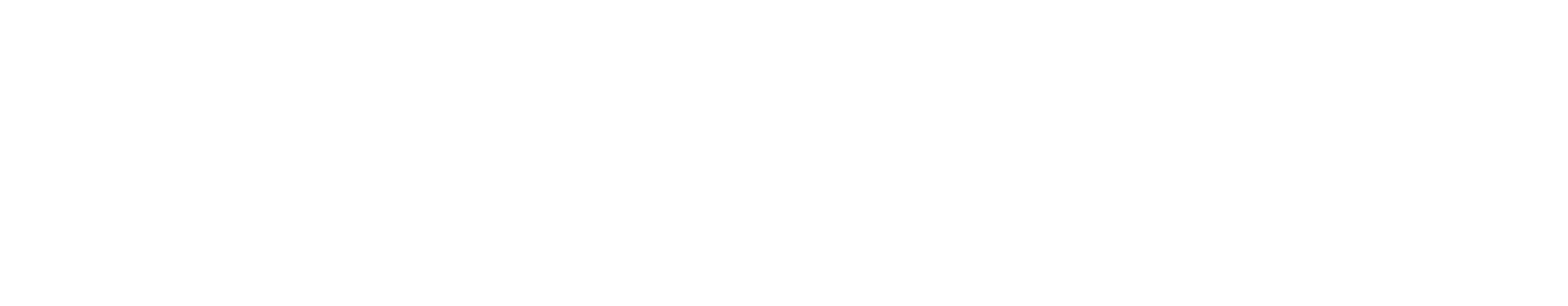 Fulton Group